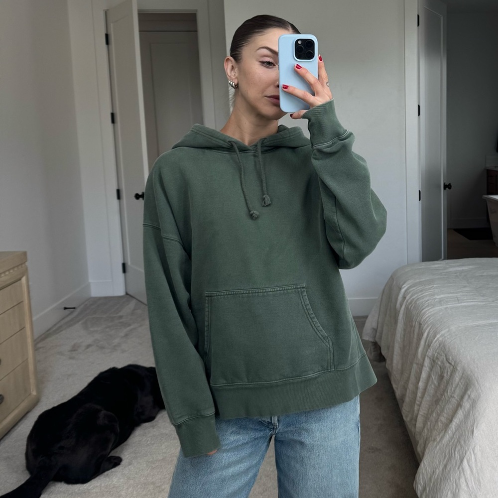 Aritzia Boyfriend Hoodie
